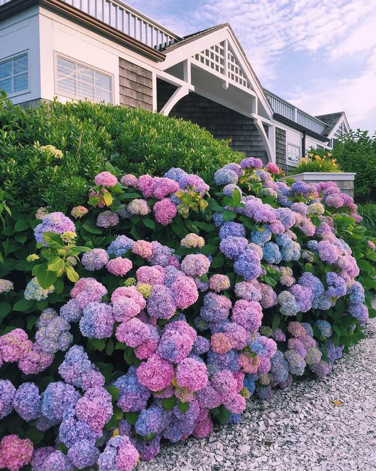 Sapphire Skies and Golden Sunsets Bouquet
